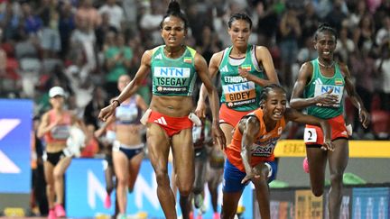 Sifan Hassan a chuté en finale du 10 000 mètres, samedi 19 août, lors des Mondiaux de Budapest (Hongrie). (JEWEL SAMAD / AFP)