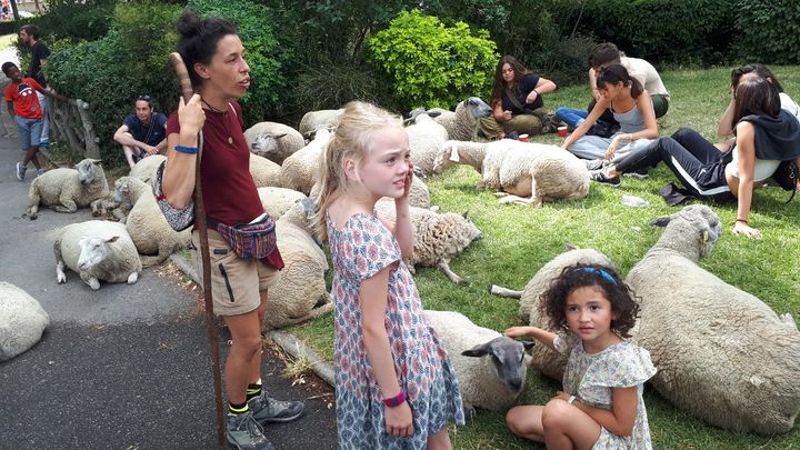 27 brebis accompagnées de bergers et de marcheurs sont arrivées mardi au terme de leur transhumance urbaine. (SANDRINE ETOA-ANDEGUE / RADIO FRANCE)