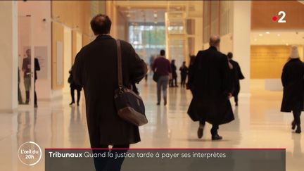 8000 traducteurs-interprètes de justice exercent aujourd'hui en France. (L'OEIL DU 20 HEURES / FRANCE 2)