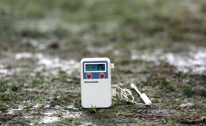 Le thermom&egrave;tre annonce -1,7&deg;C sur la pelouse de Saint-Etienne, le 7 d&eacute;cembre 2013.&nbsp; (PHILIPPE MERLE / AFP)