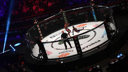 Le show était au rendez-vous à Bercy pour la première soirée de MMA en France  (FRANCK FIFE / AFP)