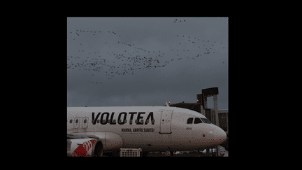 Photo des grues empêchant un avion de la compagnie Volotea de décoller de Tarbes diffusée le 24 octobre 2024 sur la page Facebook de Aéroport Tarbes Lourdes Pyrénées. (CAPTURE D'ECRAN)