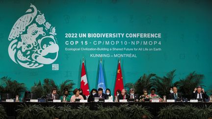 Des membres de la Convention des Nations unies sur la diversité biologique (CDB) à Montréal (Canada), à l'occasion de la COP15, le 15 décembre 2022. (ANDREJ IVANOV / AFP)