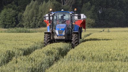 Épandage d'engrais azoté sur du blé tendre en fin de floraison, le 30 mai 2018.&nbsp; (CHRISTIAN WATIER / MAXPPP)