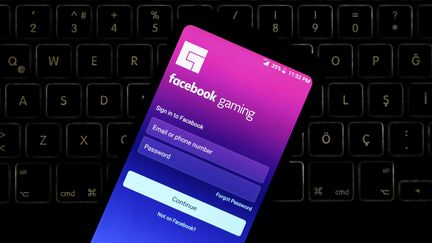 Le service Facebook Gaming propose cinq titres de jeux vidéo pour son lancement. (Photo prise le 22 avril 2020).&nbsp; (HAKAN NURAL / ANADOLU AGENCY)