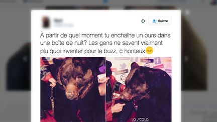 Une utilisatrice de Twitter s'indigne, le 20 novembre 2016, de la présence d'un ours dans une boîte de nuit d'Ille-et-Vilaine à l'occasion d'une soirée "cirque". (TWITTER)