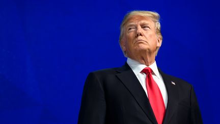 Trump à Davos : "L'Amérique d'abord ne veut pas dire l'Amérique seule"