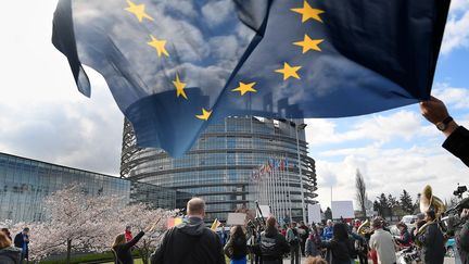 Partisans de la réforme européenne du droit d'auteur, Strasbourg, 26 mars 2019
 (FREDERICK FLORIN / AFP)