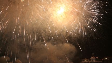 Un feu d'artifice à Nice, le 2 mars 2008. (VALERY HACHE / AFP)