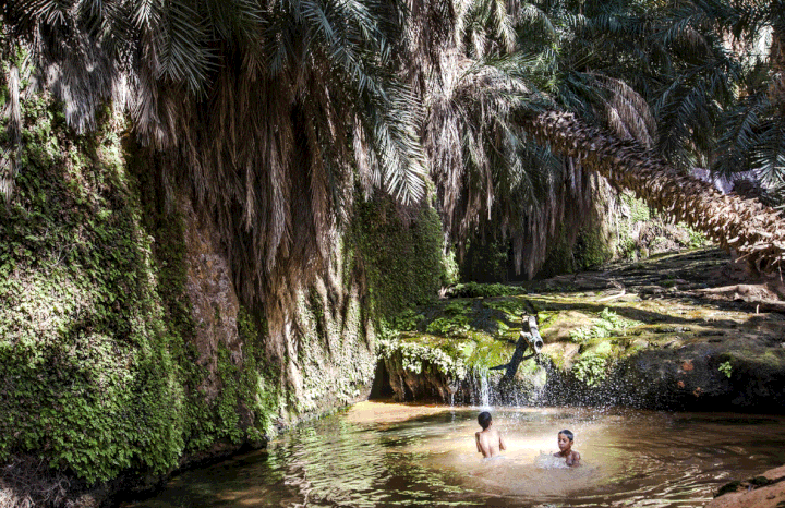 La petite oasis de Terjit, au sud d'Atar. (FERHAT BOUDA/ GEO)