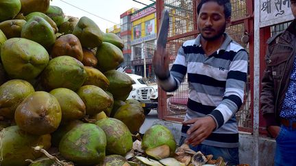 Toutes les semaines, Raja, 20 ans, se rend au grand marché de fruits et légumes de New Delhi pour s’approvisionner en noix de coco en provenance de Calcutta ou Bengalore. Raja a arrêté ses études il y a trois mois pour avoir un salaire. Les noix de coco qu’il ouvre à la machette coûtent 40 roupies (environ 50 centimes d’euros).  Elles se boivent ou se mangent. A partir de 10h, il fait le tour du quartier avec son chariot pour aller livrer à domicile. Puis, il s’installe à cet endroit jusqu’à 22h. Ce travail lui rapporte environ 100 euros mensuels. (Amanda Jacquel)