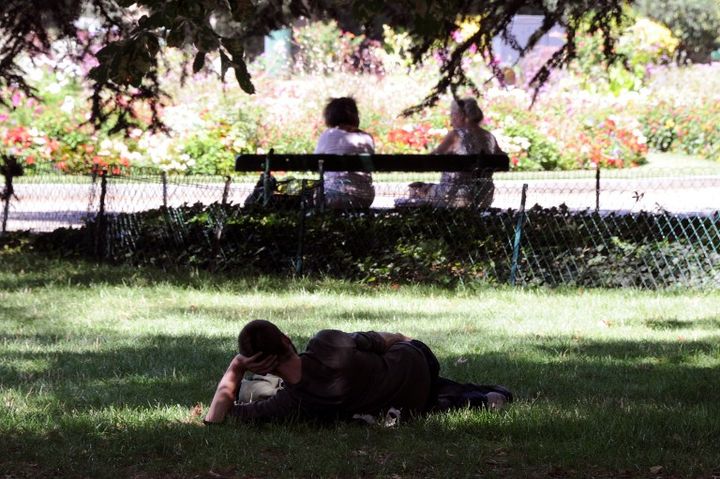 Un homme se repose dans l'herbe d'un parc &agrave; Toulouse (Haute-Garonne), le 17 ao&ucirc;t 2012.&nbsp; (PASCAL PAVANI / AFP)