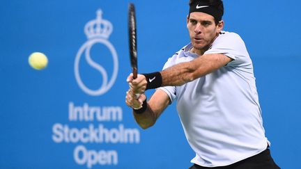 L'Argentin Juan Martin Del Potro défendra son titre à Stockholm face à Grigor Dimitrov (JONATHAN NACKSTRAND / AFP)