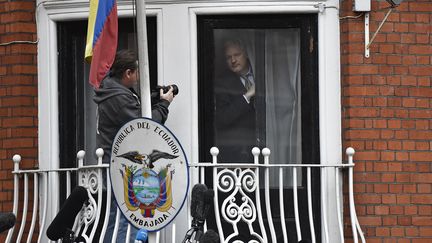 Le fondateur de Wikileaks, Julian Assange, passe la tête à la fenêtre de l'ambassade d'Equateur, à Londre, le 5 février 2016.&nbsp; (TOBY MELVILLE / REUTERS)