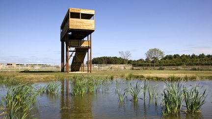 Un observatoire à oiseaux dans les marais de Saint-Ciers-sur-Gironde. (PHILIPPE ROY / PHILIPPE ROY)