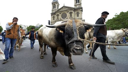 Des &eacute;leveurs sont mont&eacute;s &agrave; Paris pour protester&nbsp;contre la flamb&eacute;e des charges de production et le blocage des prix. (MIGUEL MEDINA / AFP)