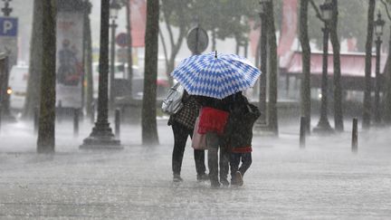 La pluie &agrave; Paris le 17 juin 2013. (FRANCOIS GUILLOT / AFP)