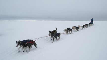 En 2019, la Finnmarkslopet a attiré 110 participants à Alta, en Norvège.&nbsp; (JOHN LOSVAR / AFP)