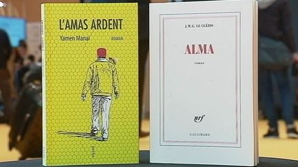 "L'amas Ardent" de Manai et  "Alma" de le Clezio, deux romans un même thème : l'homme un danger pour la nature.
 (France Ô / Culturebox)