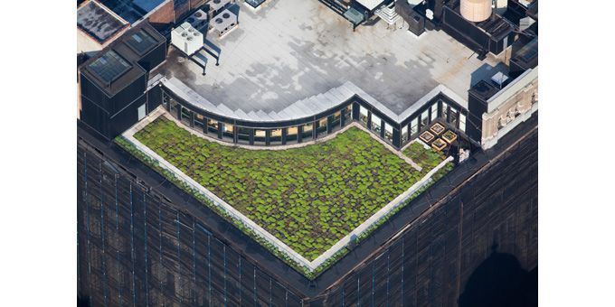 Jardins sur les toits-terrasses de New York
 (Alex McLean)