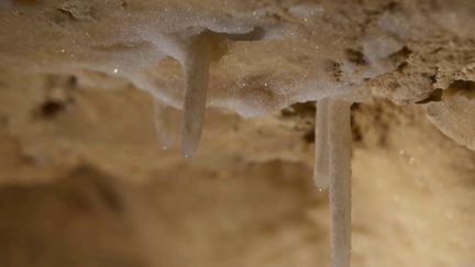 Patrimoine : la grotte Cosquer, trésor englouti de la Méditerranée, aura droit à sa réplique dans un musée marseillais (FRANCE 3)