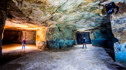 Pus de 200 personnes&nbsp;ont d&ucirc; &ecirc;tre &eacute;vacu&eacute;es d'une cave de 4 hectares &agrave; Langeais (Indre-et-Loire), o&ugrave; ils participaient &agrave; un jeu de r&ocirc;le grandeur nature, samedi 8 ao&ucirc;t 2015.&nbsp; (MARC-OLIVIER LACAILLE)