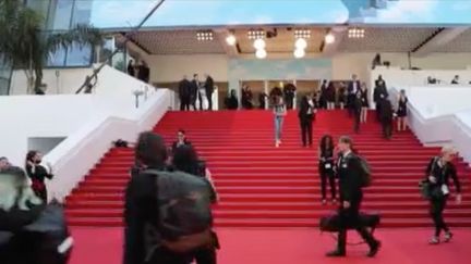 Le feuilleton du Festival de Cannes : une jeune actrice et deux habitués