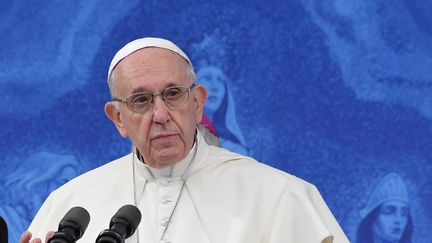 Le pape François au sanctuaire de Knock, en Irlande, le 26 août 2018. (TIZIANA FABI / AFP)