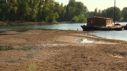 Sécheresse : la Loire à sec