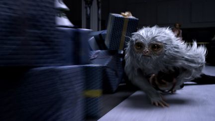 "Les Animaux fantastiques" de David Yates
 (Warner Bros. France )