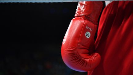 Le boxeur ne s'est pas relevé après un uppercut reçu au menton. (YURI CORTEZ / AFP)