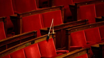 L'hémicycle de l'Assemblée nationale, en 2014. (MARTIN BUREAU / AFP)