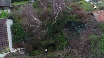 Envoyé spécial. Dans un jardin alsacien, une vraie Arche de Noé