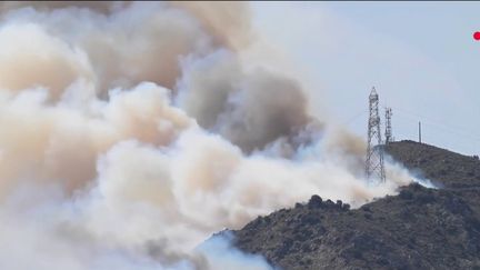 L'incendie dans les Pyrénées-Orientales. (France 2)