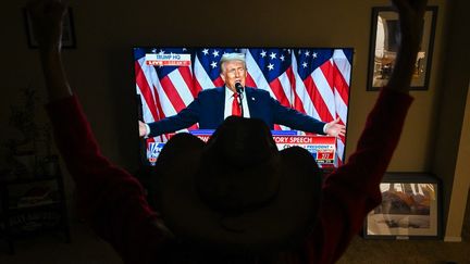 Une personne célèbre l'élection de Donald Trump devant sa télévision, le 5 novembre 2024, à Foster City (Californie). (TAYFUN COSKUN / ANADOLU / AFP)