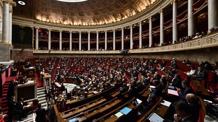 Vue d'ensemble de l'hémicycle de l'Assemblée nationale, à Paris, le 29 janvier 2019. (PHILIPPE LOPEZ / AFP)