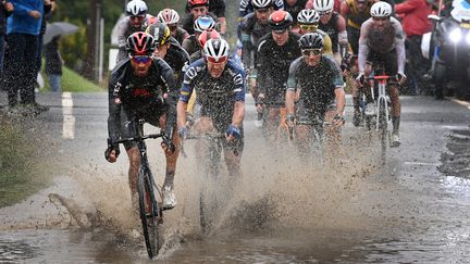 L'échappée de Paris-Roubaix 2021 à l'entrée d'un secteur pavé, le 3 octobre&nbsp; (DAVID STOCKMAN / BELGA MAG via AFP)