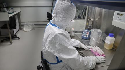 Un scientifique étudie des prélèvements effectués chez un patient soupçonné d'être atteint du coronavirus 2019-nCoV, à l'Institut Pasteur,&nbsp;le 28 janvier 2020 à Paris. (THOMAS SAMSON / AFP)