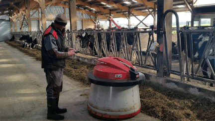  (Le robot qui repousse le fourrage des vaches © RF / Raphaël Ebenstein)