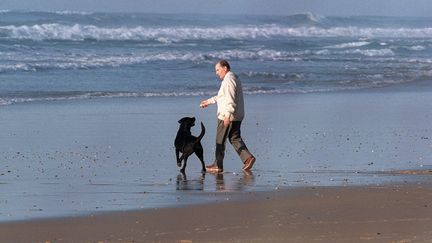 Baltique était la chienne labrador noire du président de la République française François Mitterrand.&nbsp; (VINCENT AMALVY / AFP)