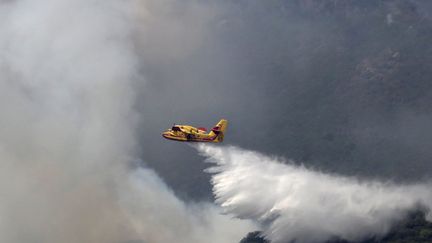 Un Canadair, le 25 juillet 2017. (PASCAL POCHARD-CASABIANCA / AFP)