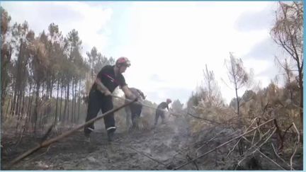 Près de 21 000 hectares de forêt de pins ont brûlé en dix jours. Le feu ne progresse plus, vendredi 22 juillet, mais la prudence reste de mise. Le point avec Sofia Dollé, en direct de la Teste-de-Buch (Gironde). (FRANCE 3)