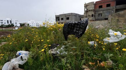 Tout le pays est constellé de sacs en plastique divers. (FETHI BELAID / AFP)