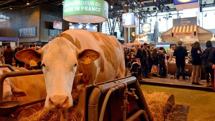 Une vache au Salon de l'agriculture, porte de Versailles, &agrave; Paris, le 22 f&eacute;vrier 2015. (MAXPPP)