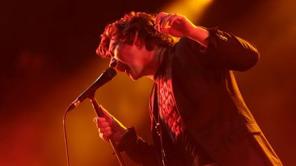 The Last Shadow Puppets à Rock en Seine
 (Gilles Scarella / Studio FTV)