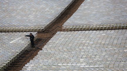 Un employ&eacute; pr&eacute;pare les si&egrave;ges en plastique install&eacute;s pour les personnes qui assisteront &agrave; l'investiture de Barack Obama, le 19 janvier 2013.&nbsp; (JOHN MOORE / GETTY IMAGES NORTH AMERICA / AFP)