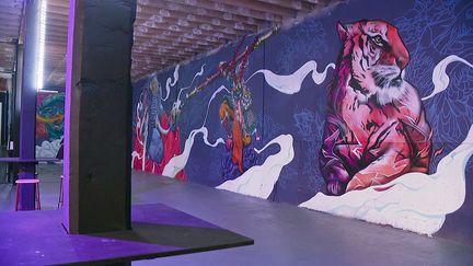 Le Zoo Art Show XXL à Lyon jusqu'au 20 décembre 2020 (France 3 Aura)