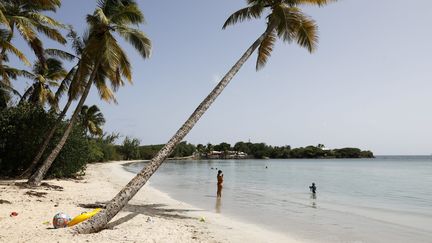 La Martinique se reconfine durant trois semaines face à l'explosion du nombre de cas de Covid-19 et à la saturation des services de réanimation. Les plages, commerces et un certain nombre de lieux culturels et de loisirs ferment leurs portes. (OLIVIER CORSAN / PHOTOPQR/LEPARISIEN/MAXPPP)