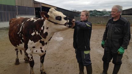 La vache Normande Gentiane, avec Lucie et&nbsp;François Foucault dans leur ferme de l'Orne. (LORELIE CARRIVE / FRANCEINFO)