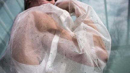 Prototype textile "Biogarmentry" créé à base d'algues qui transforment le dioxyde de carbone en oxygène via la photosynthèse. (INSTAGRAM @BIOGARMENTRY / ROYA AGHIGHI)